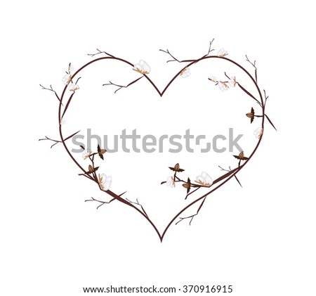 Love Concept, Branch of Ripe Cottons Forming in Heart Shape Isolated on White Background.