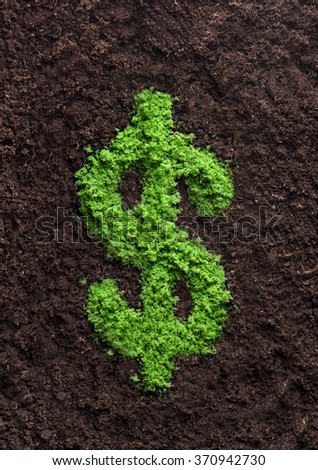 Successful investment concept with grass dollar shape