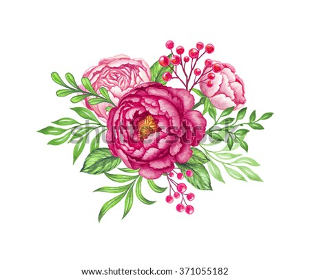 fresh pink peony rose bouquet and green leaves, watercolor flowers illustration, floral design element