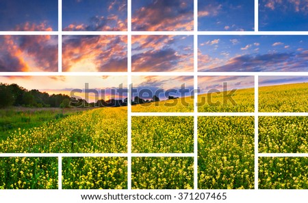 Organized template for custom fields on the summer landscape background