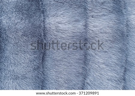 various fluffy and soft abstract fur texture for a design background