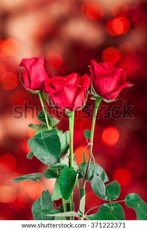 red rose on natural background