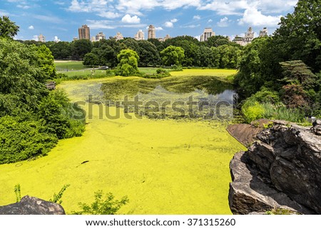 Turtle Pond in Central Park, New York City