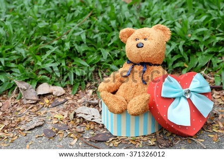 teddy bear with heart box