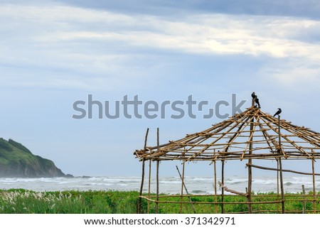 Bungalow Frame With Crows. Ocean Beach Landscape Goa India