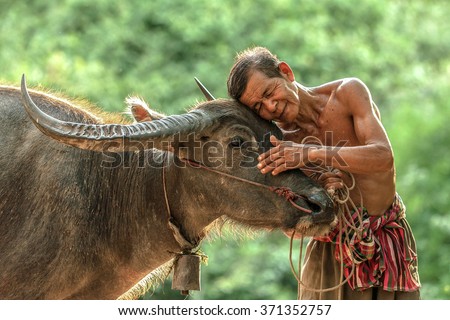Engagement with cattle farmers in Thailand. Royalty-Free Stock Photo #371352757