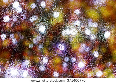 Water and rain drops on the glass. Abstract view background. Drops on glass after rain