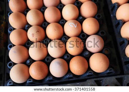 Fresh chicken egg in box