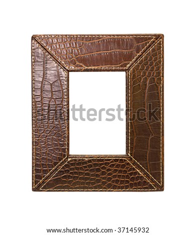 Brown alligator frame isolated included clipping path