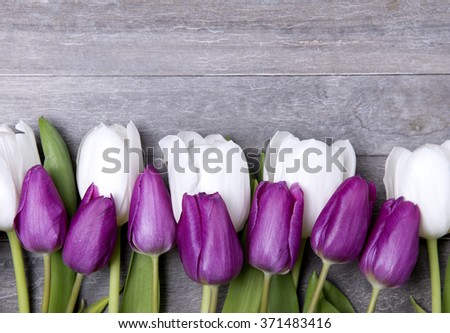 beautiful, fresh tulips on wooden background