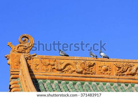 pigeons on the roof of temple, closeup of photo