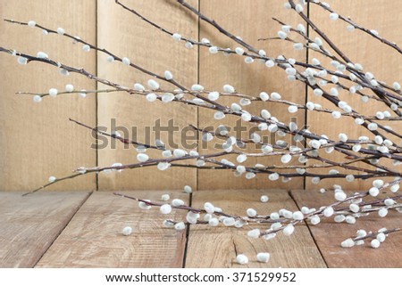 pussy willow flowers on a wooden floor