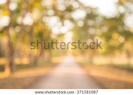 Abstract blur city park with warm lighting background