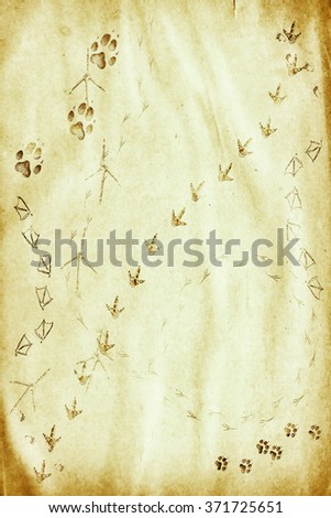 animal footprints on the grunge paper
