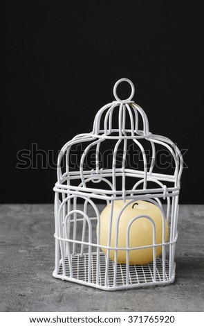 Vintage birdcage with candle inside, copy space