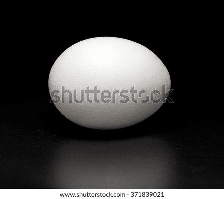 chicken white egg on a black background