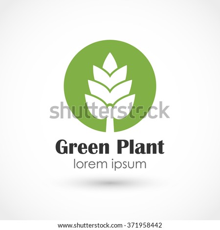 Vector illustration of a Green plant vector