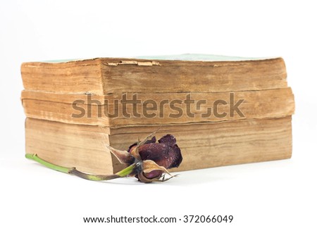 Dried rose and old books on white background, selective focus.