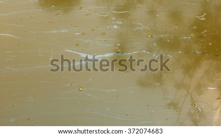 swamp texture in the river