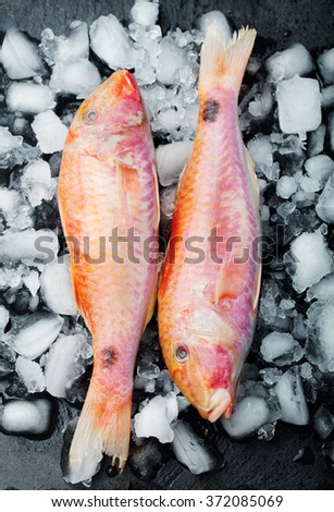 Raw fish, Red mullet fish on an ice cubes on a black stone board plate