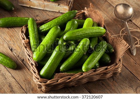 Raw Organic Mini Baby Cucumbers Ready to Eat Royalty-Free Stock Photo #372120607