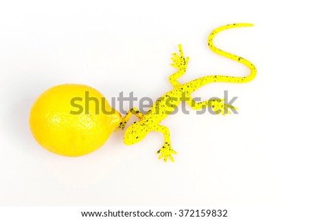 Yellow lizard near yellow lemon, matching colors, flora and fauna in one color