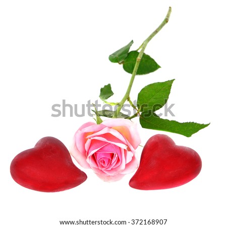 Red roses for Valentine's Day isolated on the white background.  