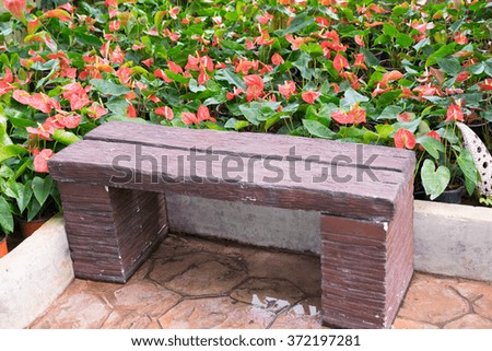 Wooden bench behind a spadix.
