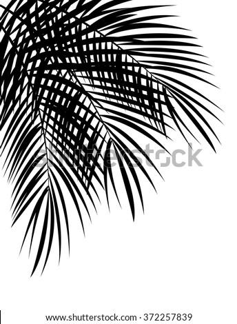 Palm Leaf Vector Background Illustration. EPS10