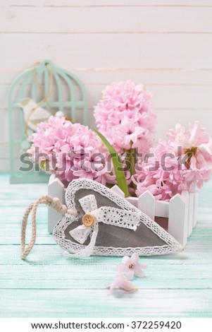 Hyacinths flowers in wooden box and decorative heart on turquoise painted wooden background against white wall. Selective focus. 