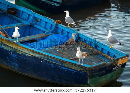 Seagulls sit on the boat