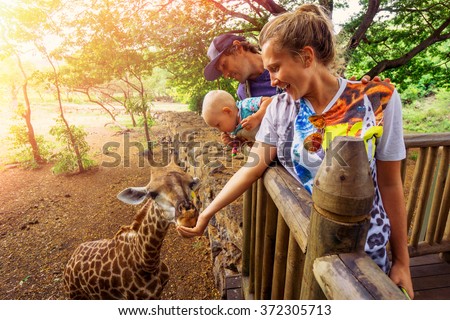 young couple with a baby feeding a giraffe at the zoo on a jungle background. The child laughs. Mauritius Casela Safari Park