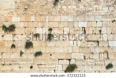 Close up on Western Wall also called Wailing Wall in Jerusalem, Israel Royalty-Free Stock Photo #372322123