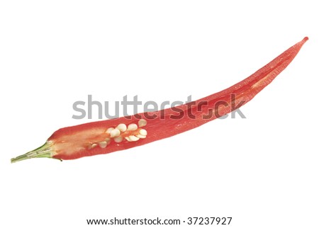 The Red Chilli pepper slice