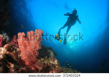 Scuba diving exploring coral reef underwater sea ocean