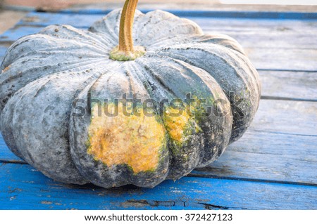 Pumpkin on the blue table