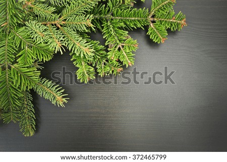 Fir tree twigs on wooden background