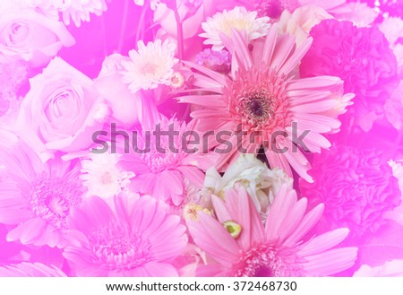 Flowers in pastel styles.Background of Beautiful flower decoration, Process with filter.