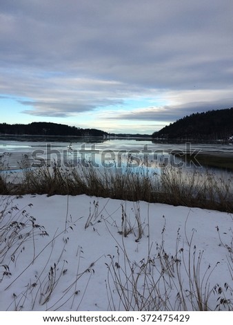 Winter landscape by the sea with nordic light
