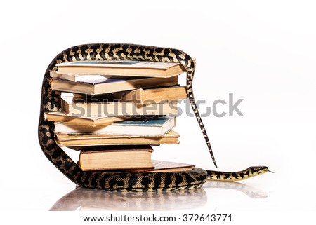education and knowledge, the book in the beautiful snake authorities on a white background