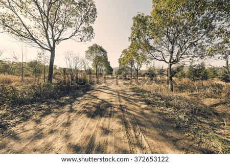 Rural forest road