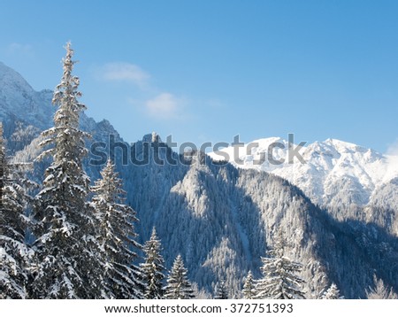 winter landscape a sunny day in bucegi mountains romania