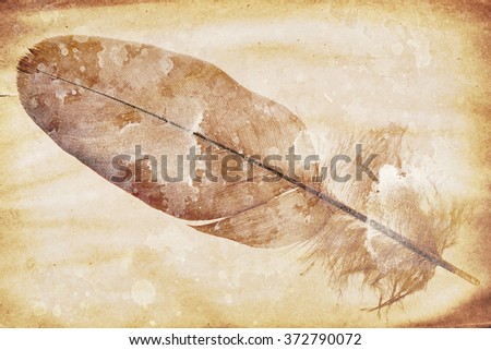 watermark in the form of a feather on the grunge paper