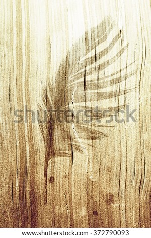 old book pages with printed feather watermark
