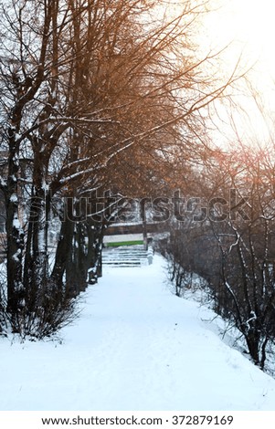 alley pathway park winter