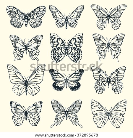Set of illustrations illustration with butterflies. Freehand drawing