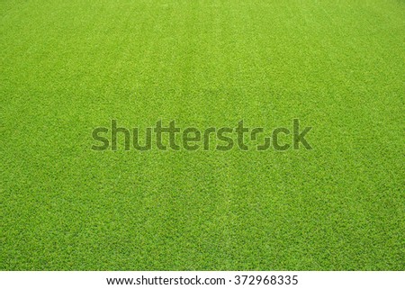 artificial grass perspective view Royalty-Free Stock Photo #372968335