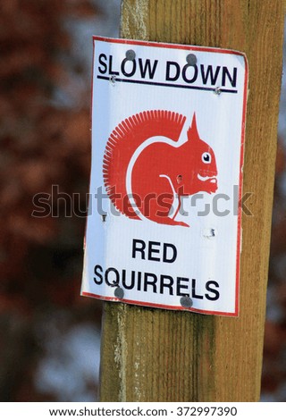 Sign on a wooden post stating "SLOW DOWN RED SQUIRRELS" with a picture of a red squirrel warning drivers that red squirrels are in the area 