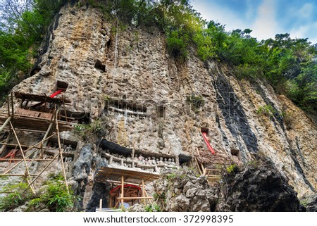 Suaya is cliffs old burial site of the royal family of Sangalla in Tana Toraja. Galleries of tau-tau guard the graves. South Sulawesi, Indonesia