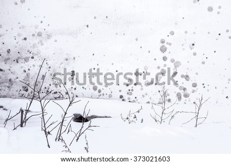 Abstract background. Dirt stains on white plastered wall with snow and branches in the foreground. Black and white